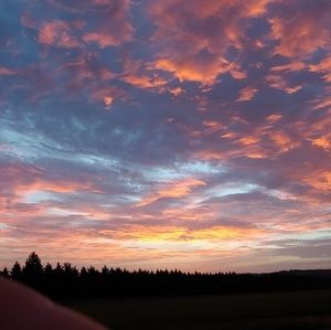 Meet your Posher, Ray